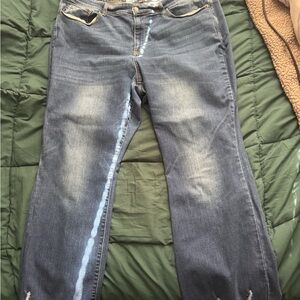 Judy Blue Charity mid rise Jean plus size 24W